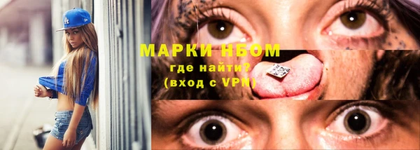 гидра Ладушкин