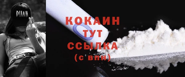 гидра Ладушкин
